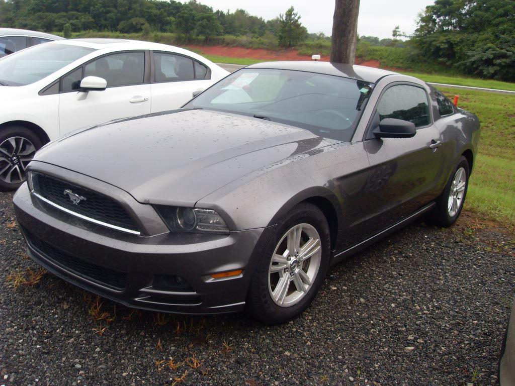2014 Ford Mustang's photo